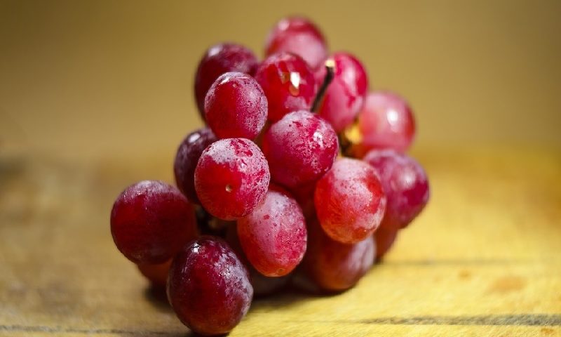 Manfaat Herbal Anggur Untuk Kesehatan