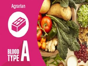 Diet Golongan Darah Untuk Yang Susah Kurus